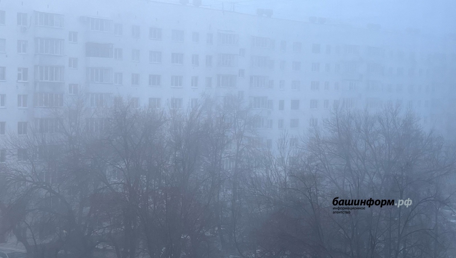 ИА Башинформ