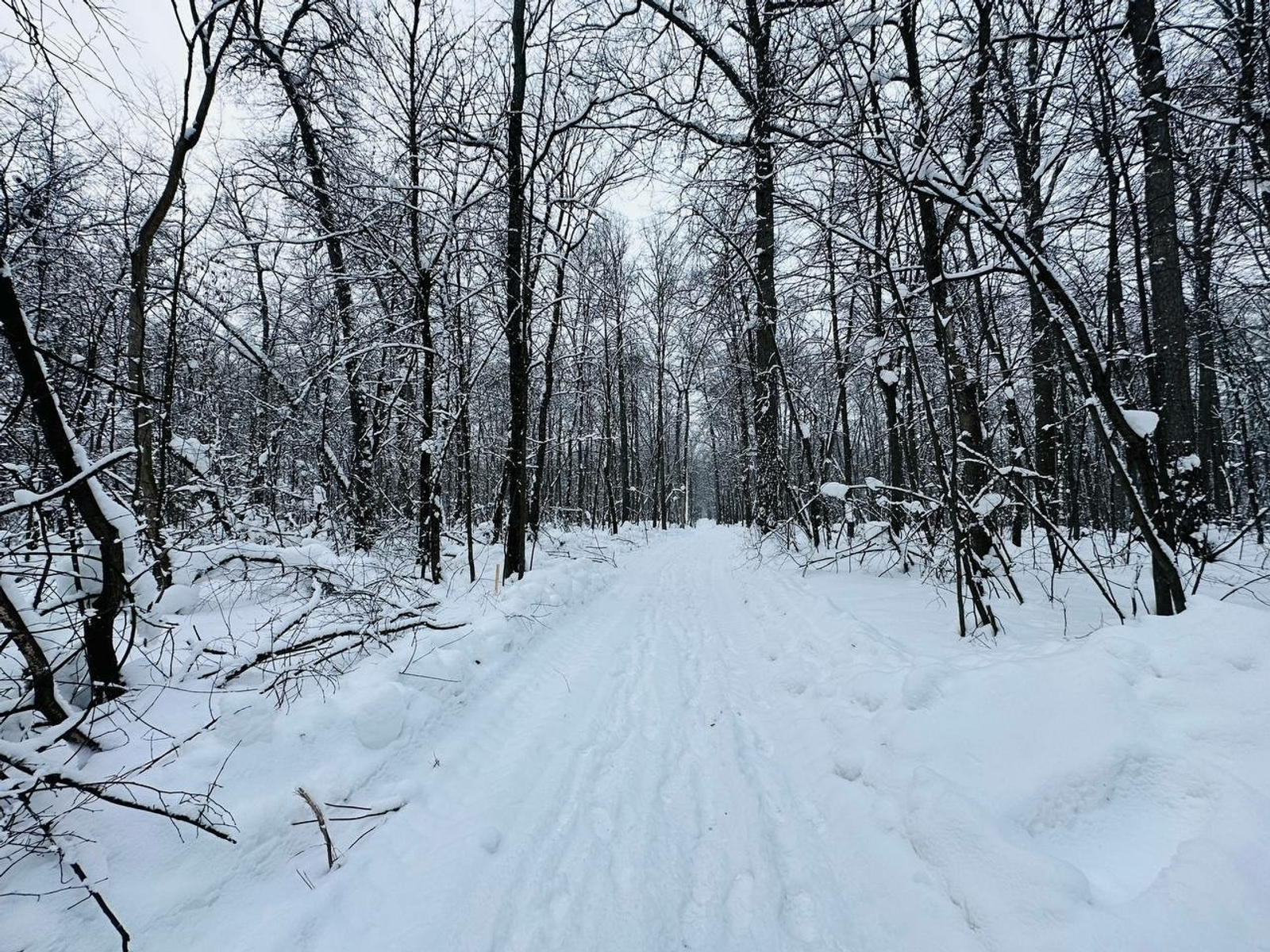 ИА Башинформ