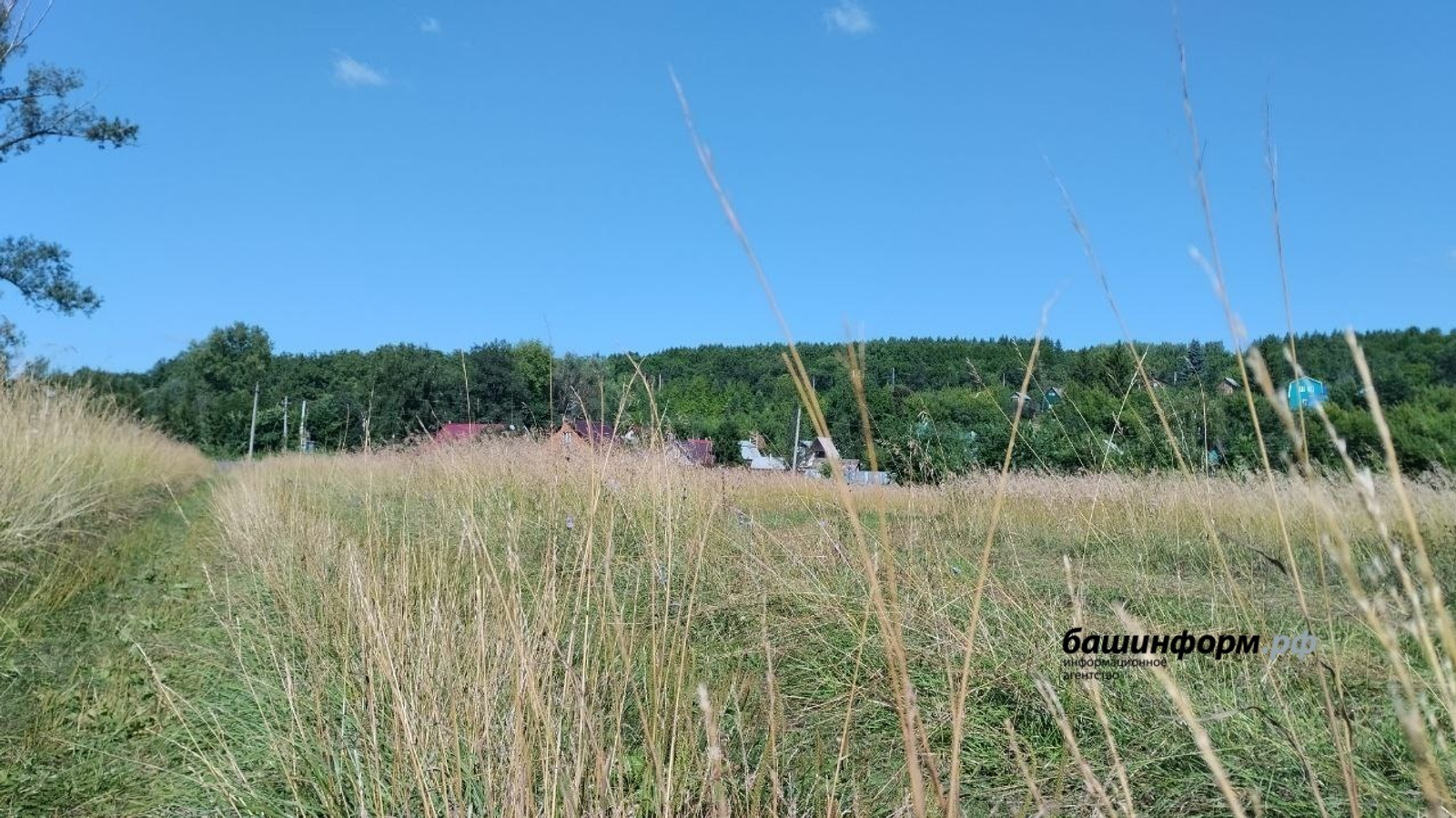 ИА Башинформ