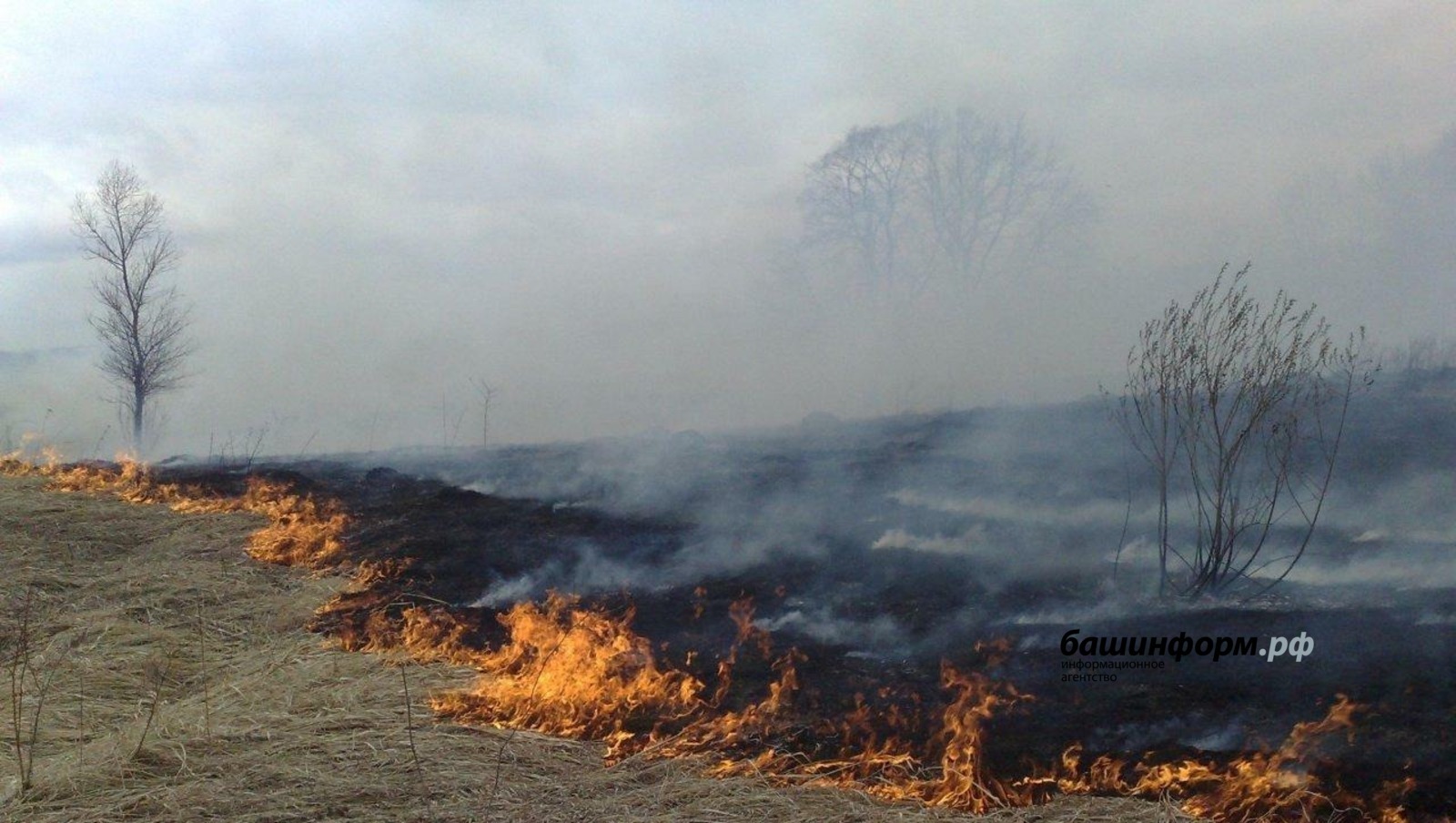 В Башкирии за три дня праздничных выходных произошло 205 пожаров