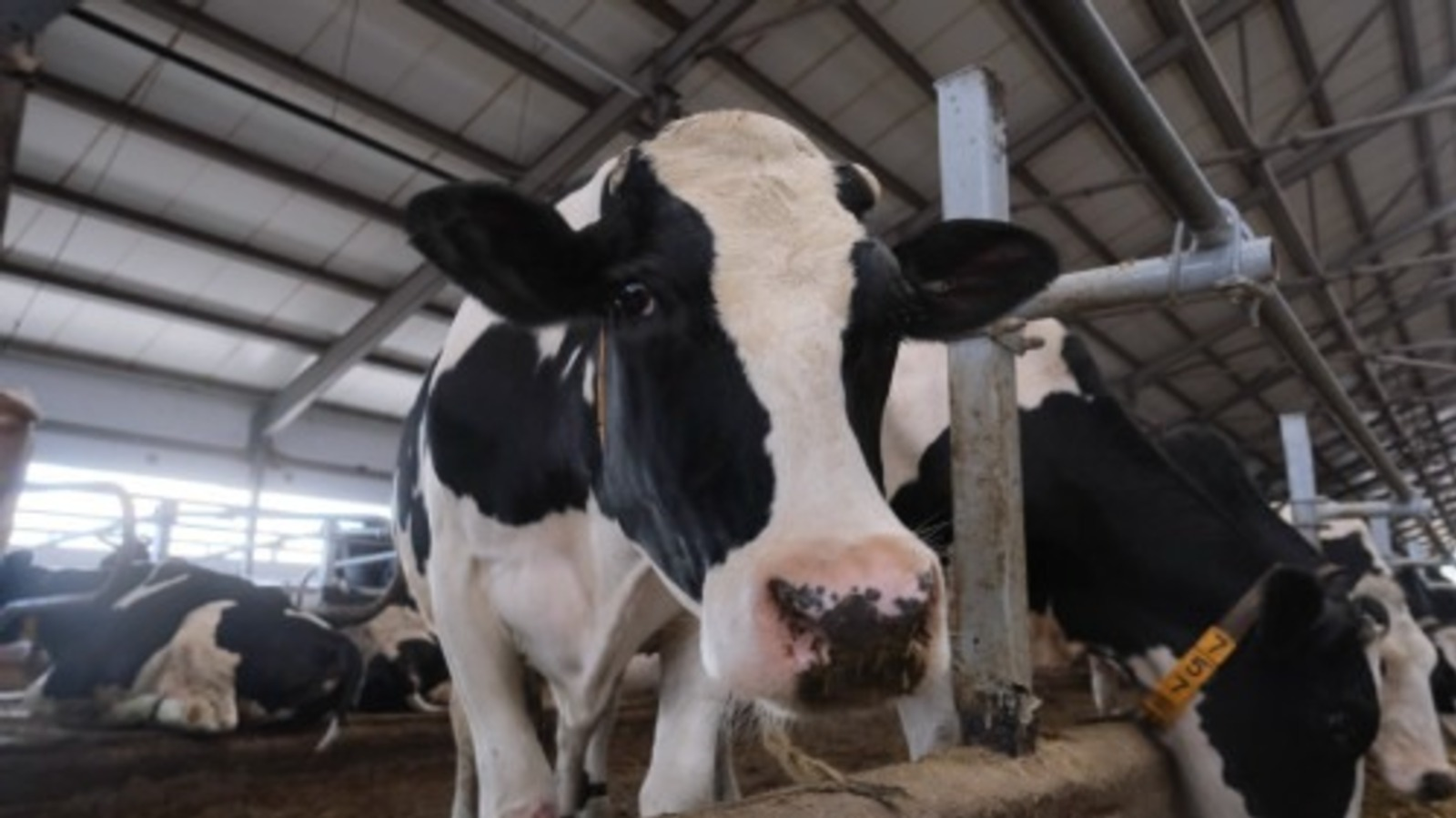 ИА Башинформ