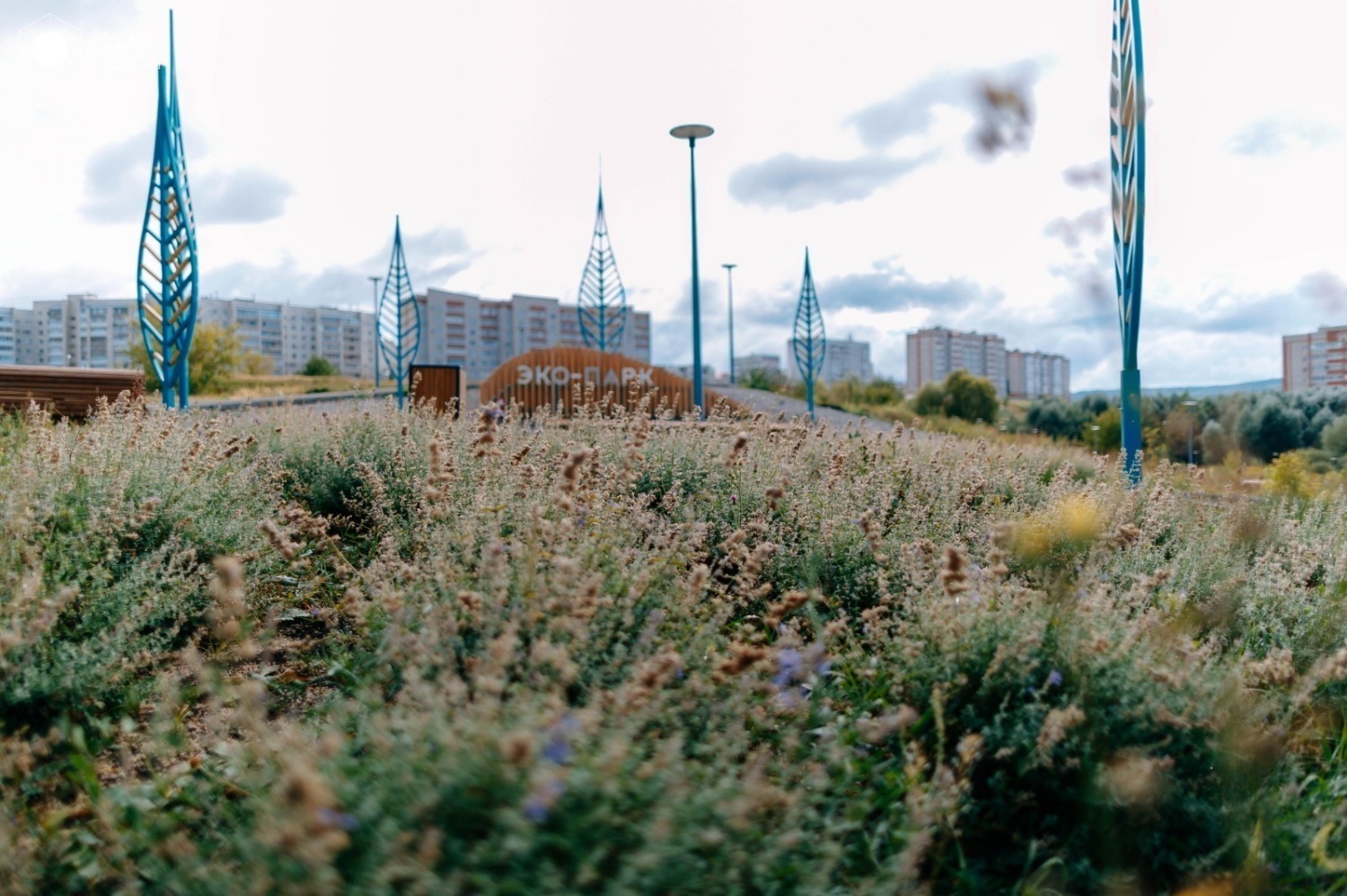 В городе Башкирии открылся новый эко-парк