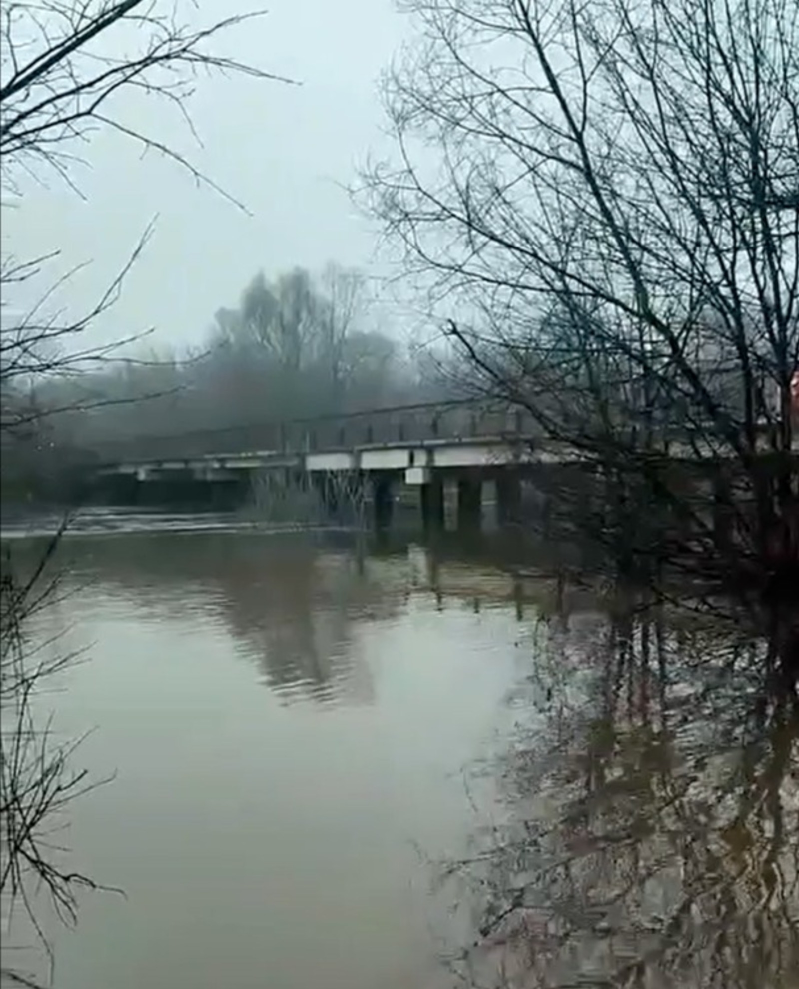 ИА Башинформ