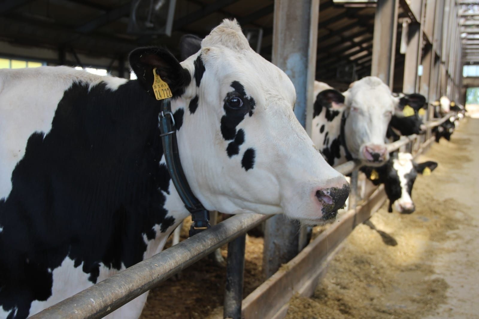 ИА Башинформ