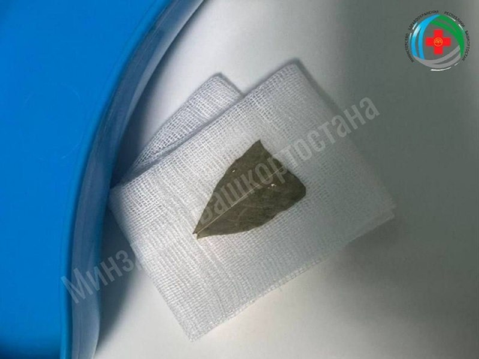 ИА Башинформ