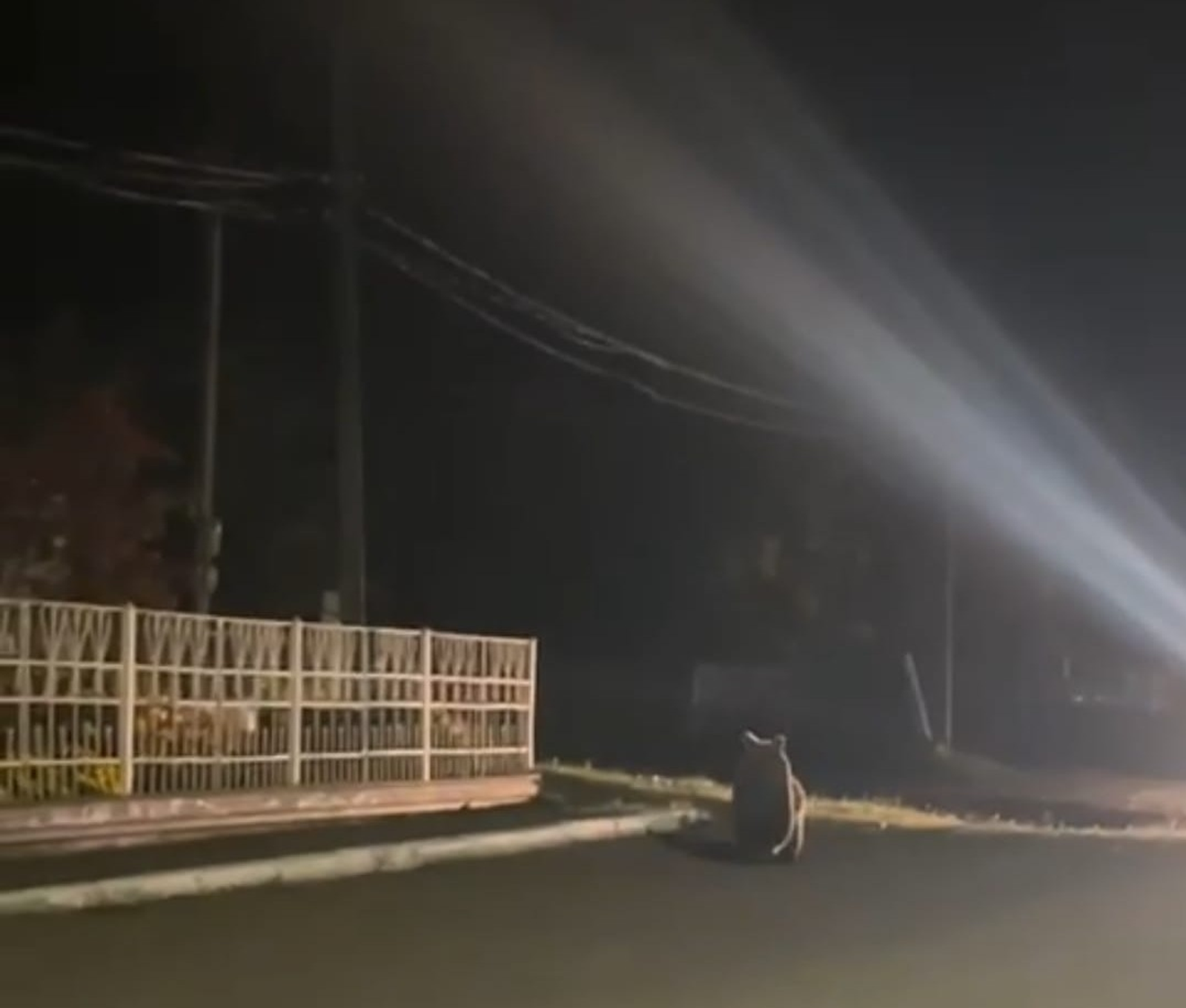 Фото: ИА Башинформ