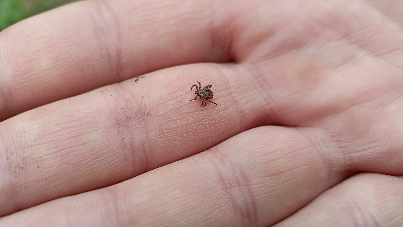 ИА Башинформ