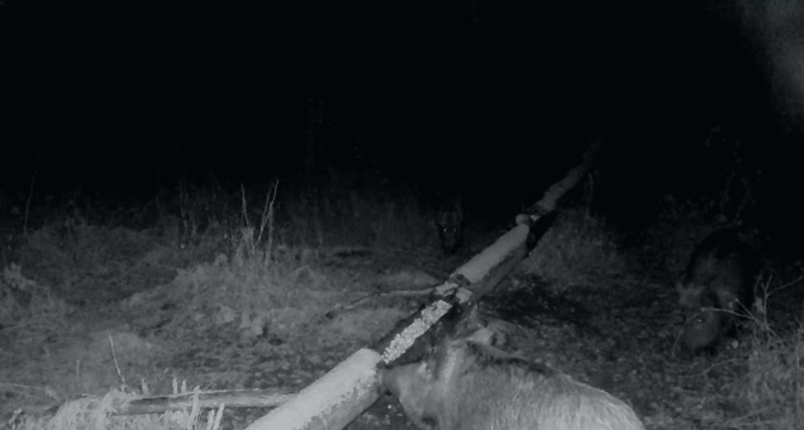 ИА Башинформ