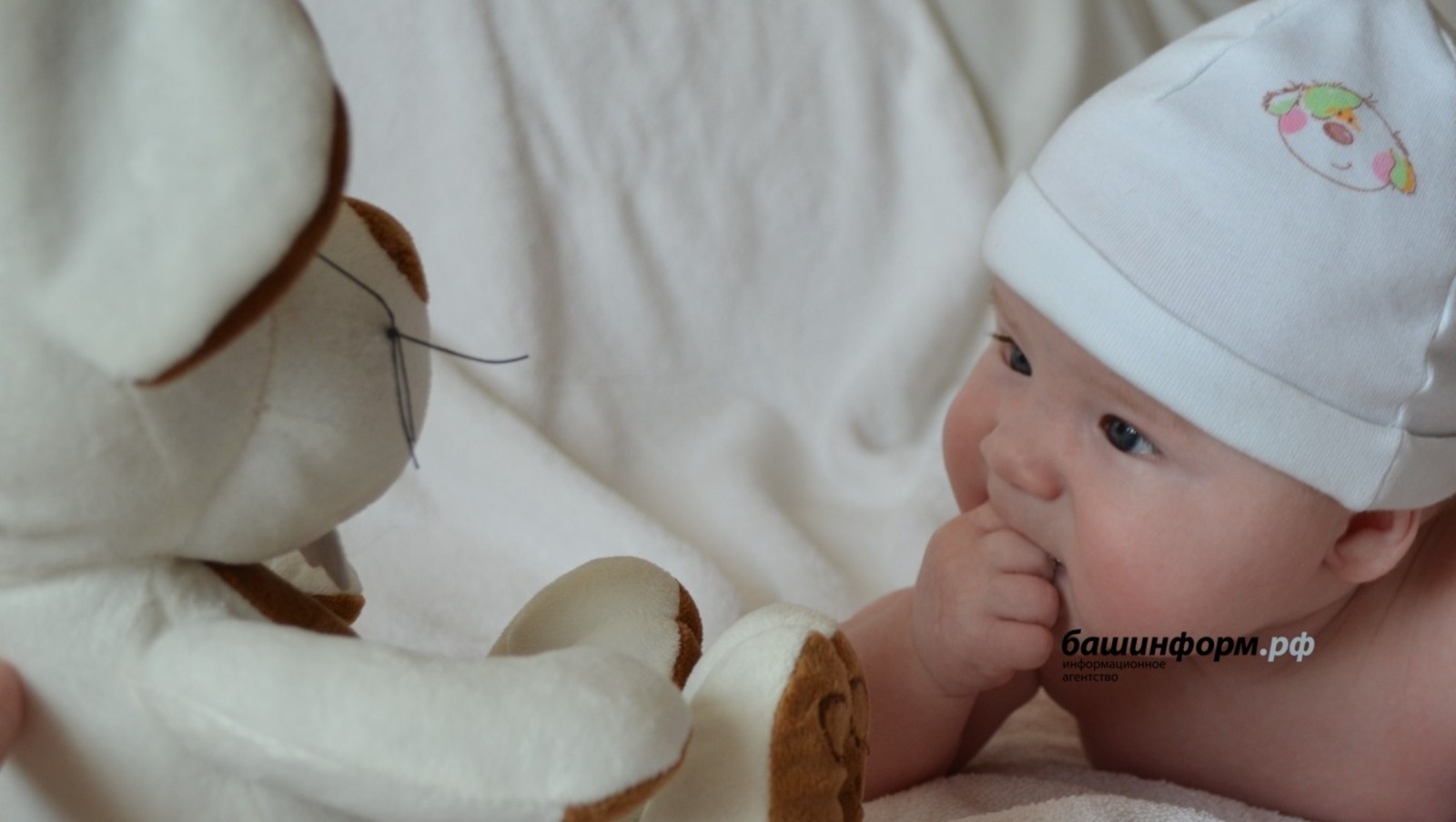 ИА Башинформ