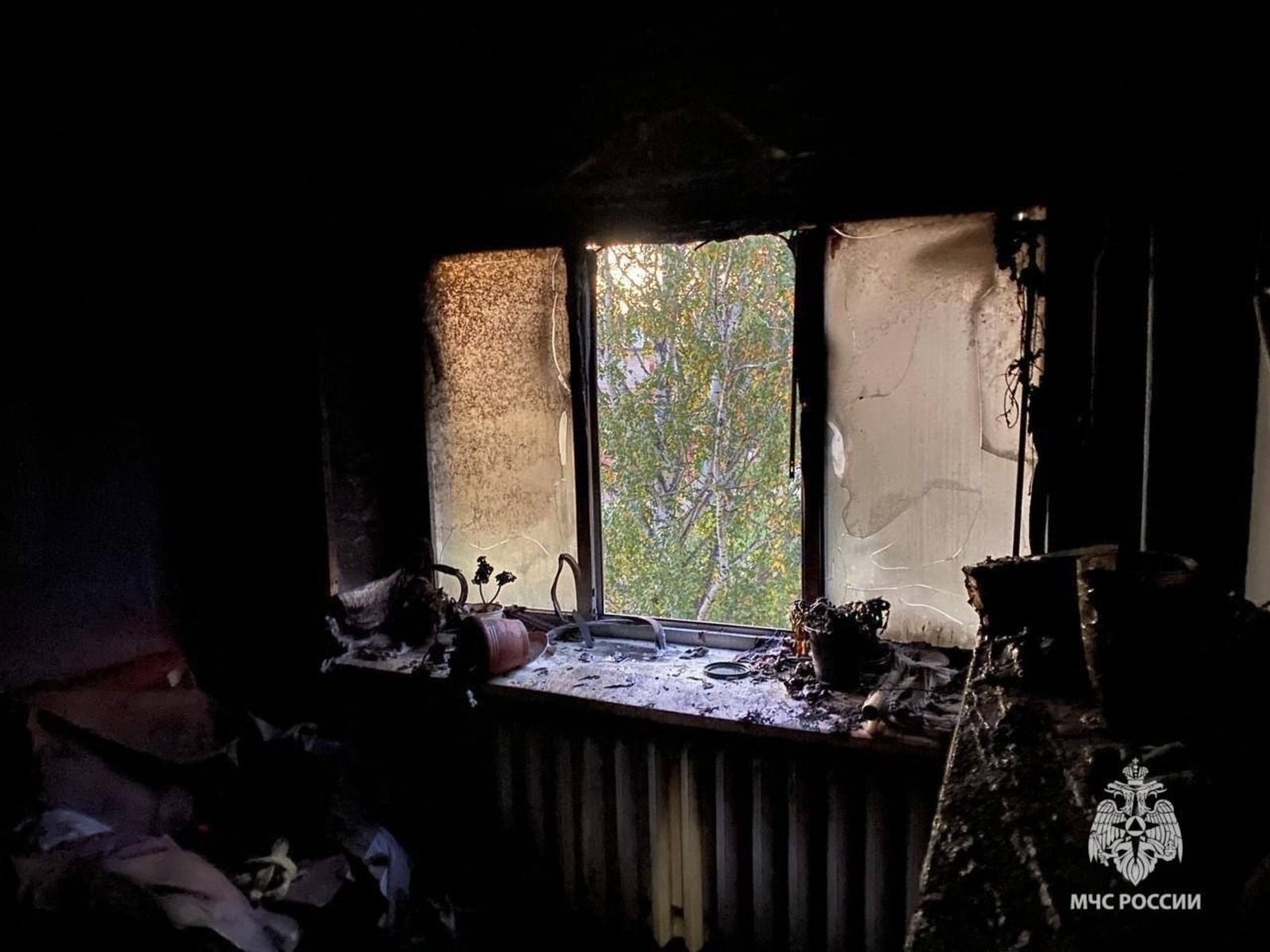 ИА Башинформ