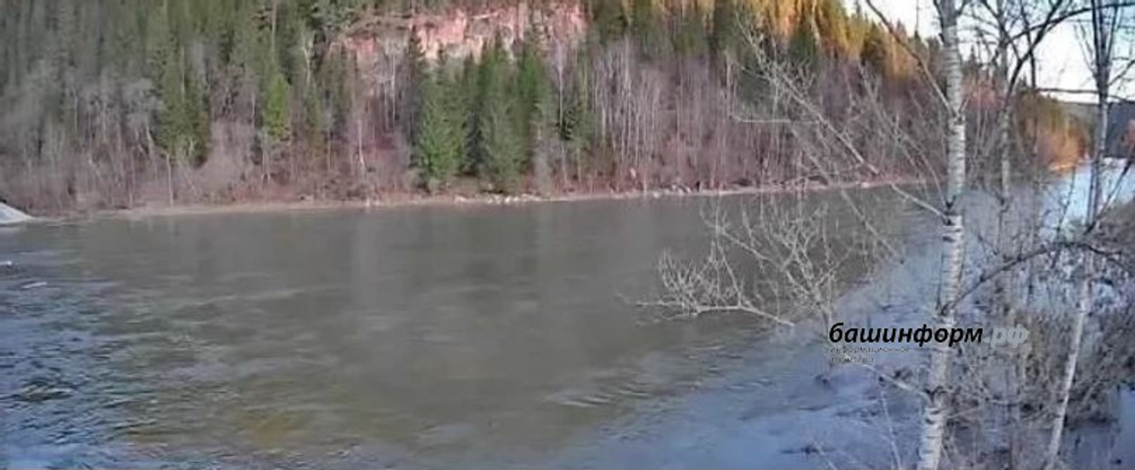 ИА Башинформ