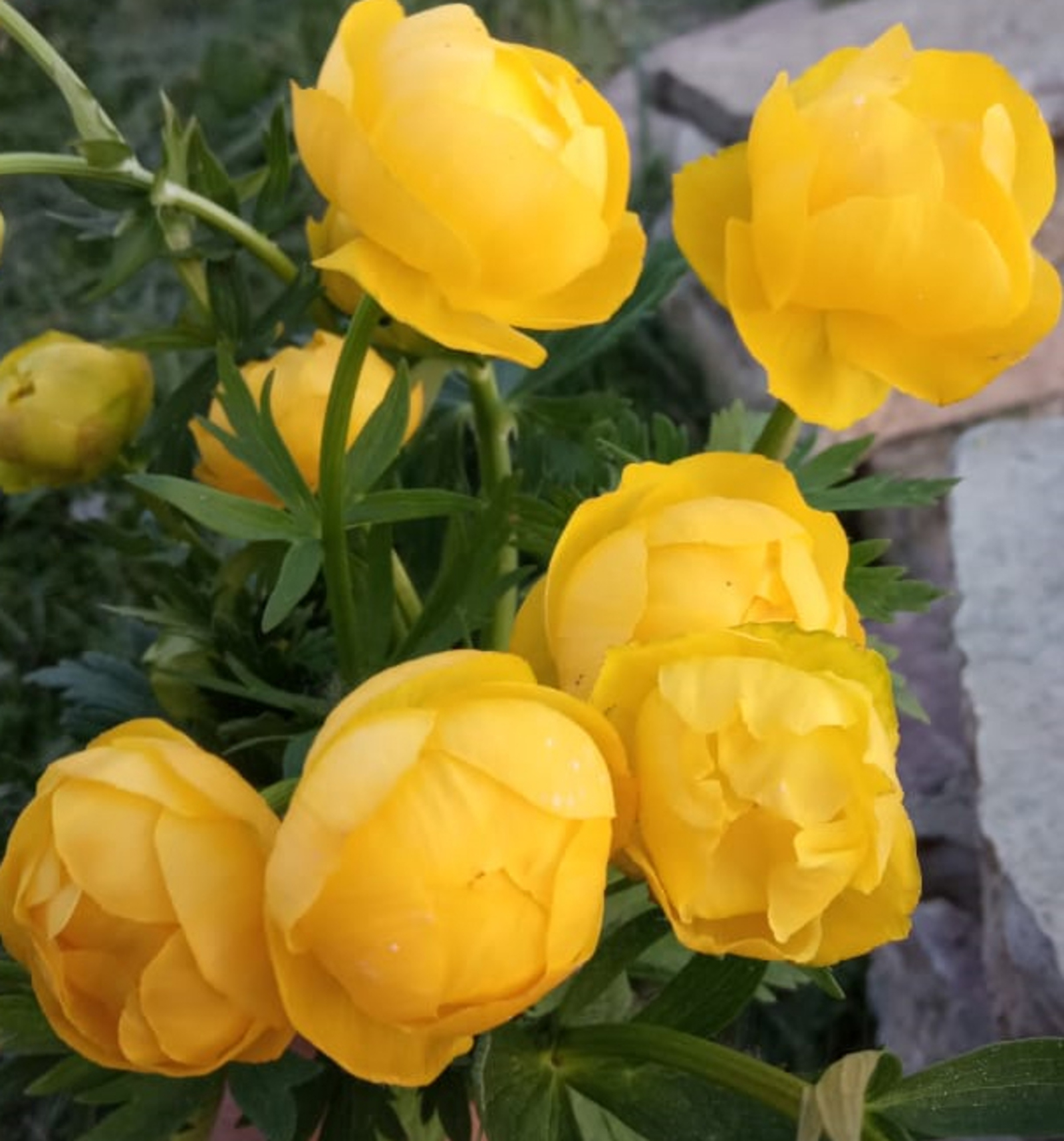 В Башкирии синоптики поделились прогнозом на конец мая и июнь