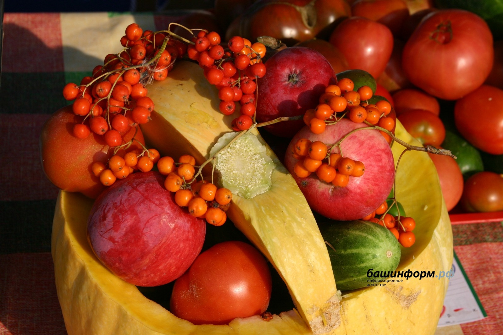 ИА Башинформ