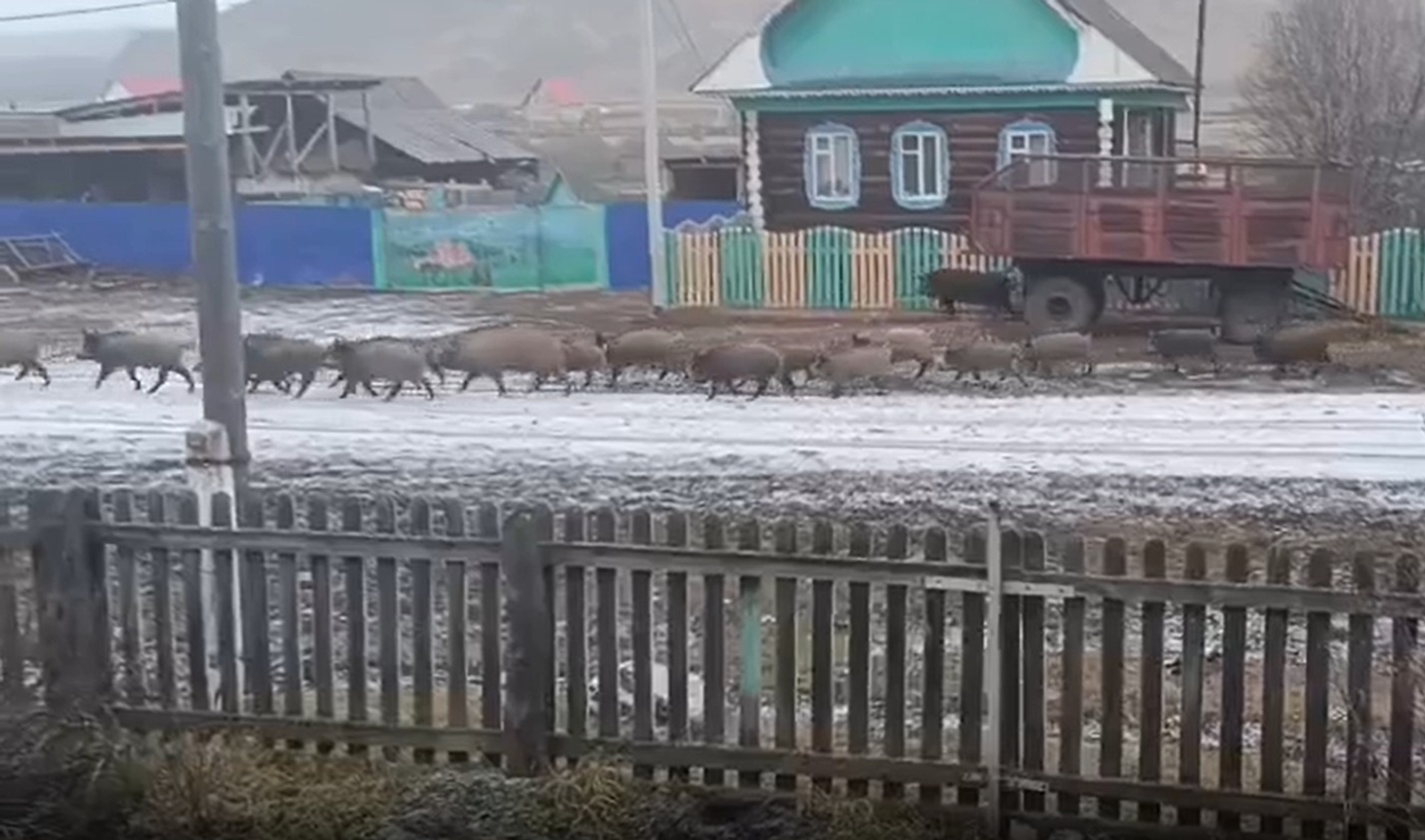 ИА Башинформ