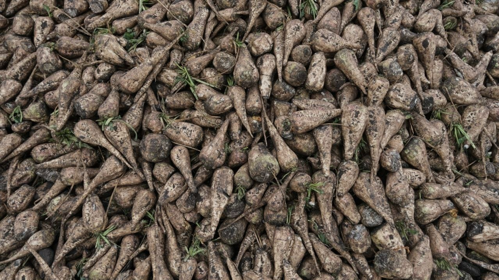 ИА Башинформ