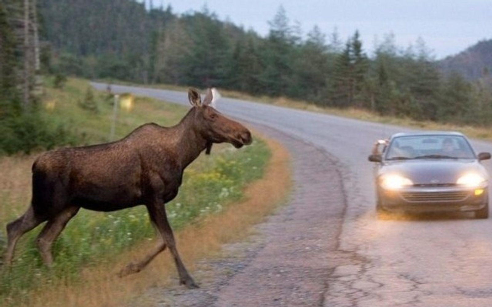 ИА Башинформ