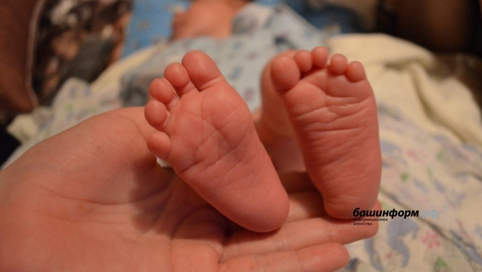 ИА Башинформ