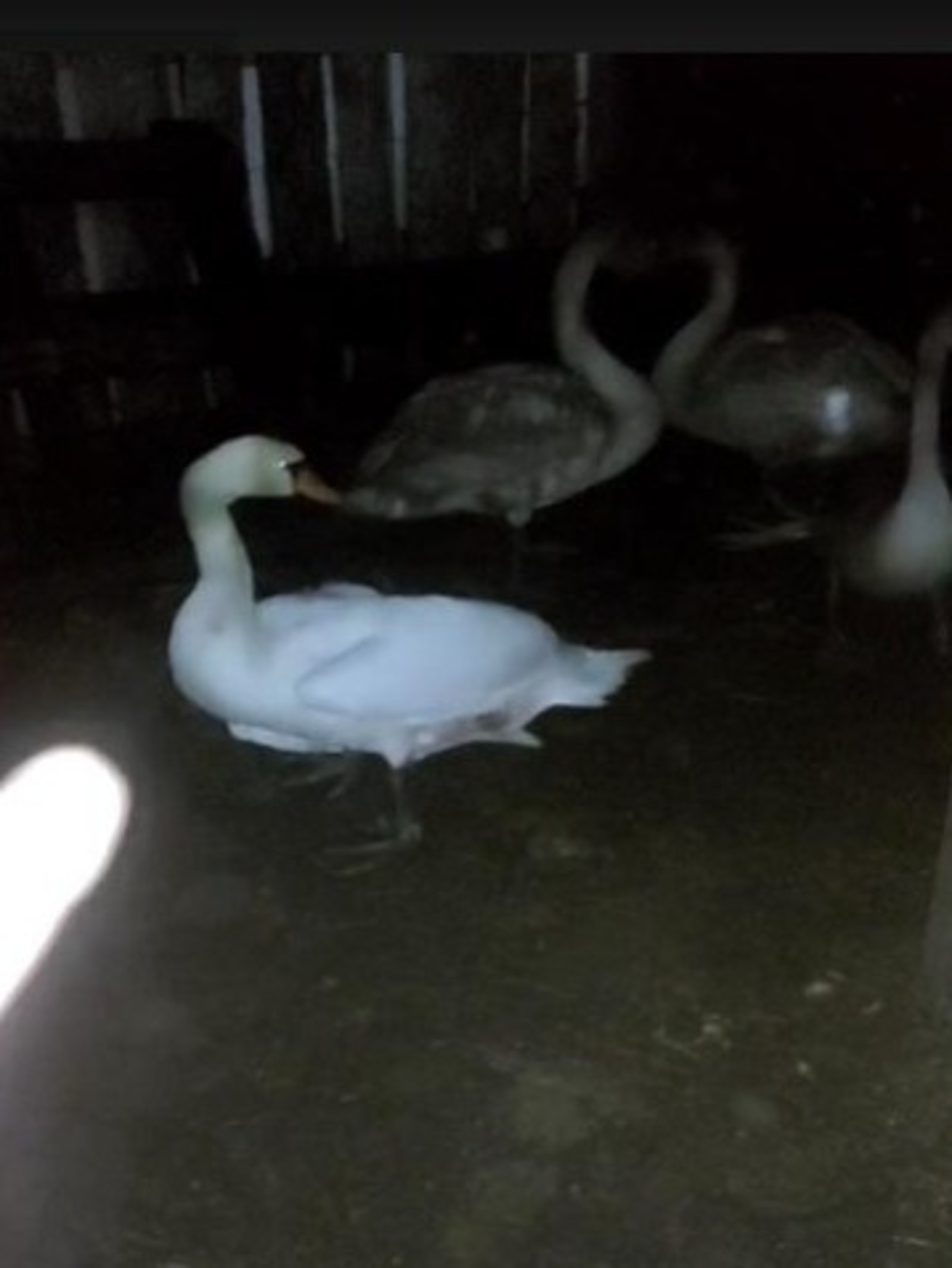 ИА Башинформ