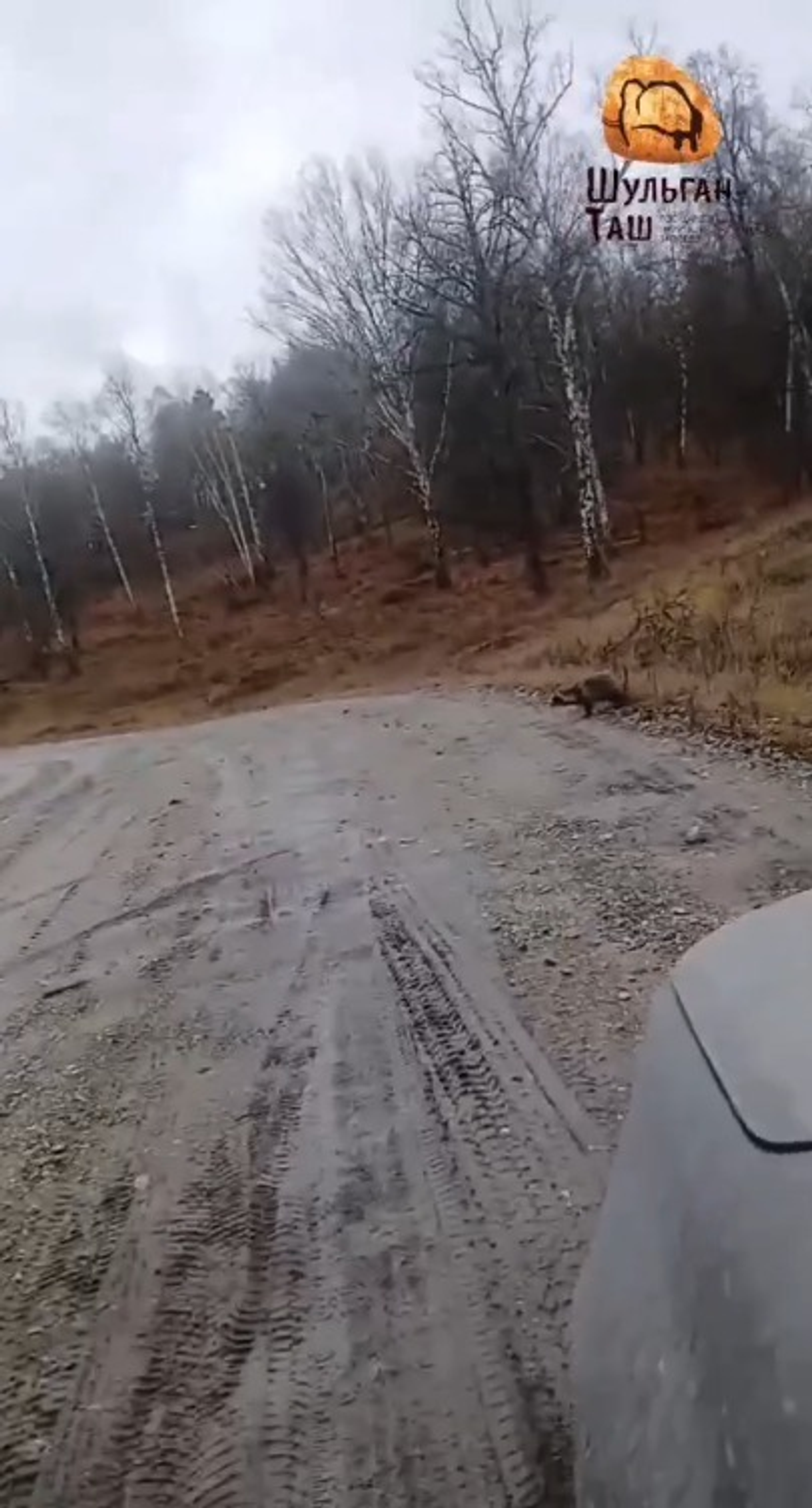 ИА Башинформ