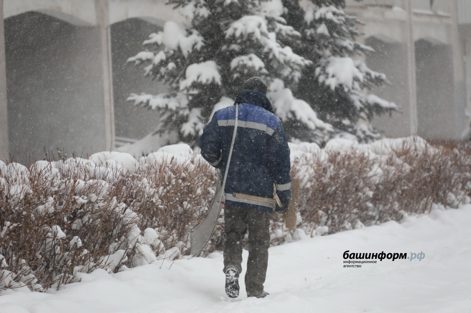 ИА Башинформ