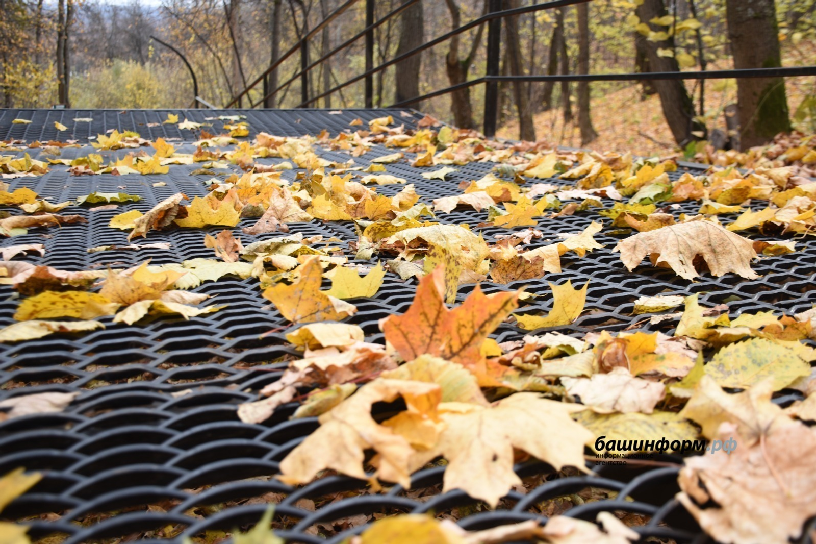 ИА Башинформ