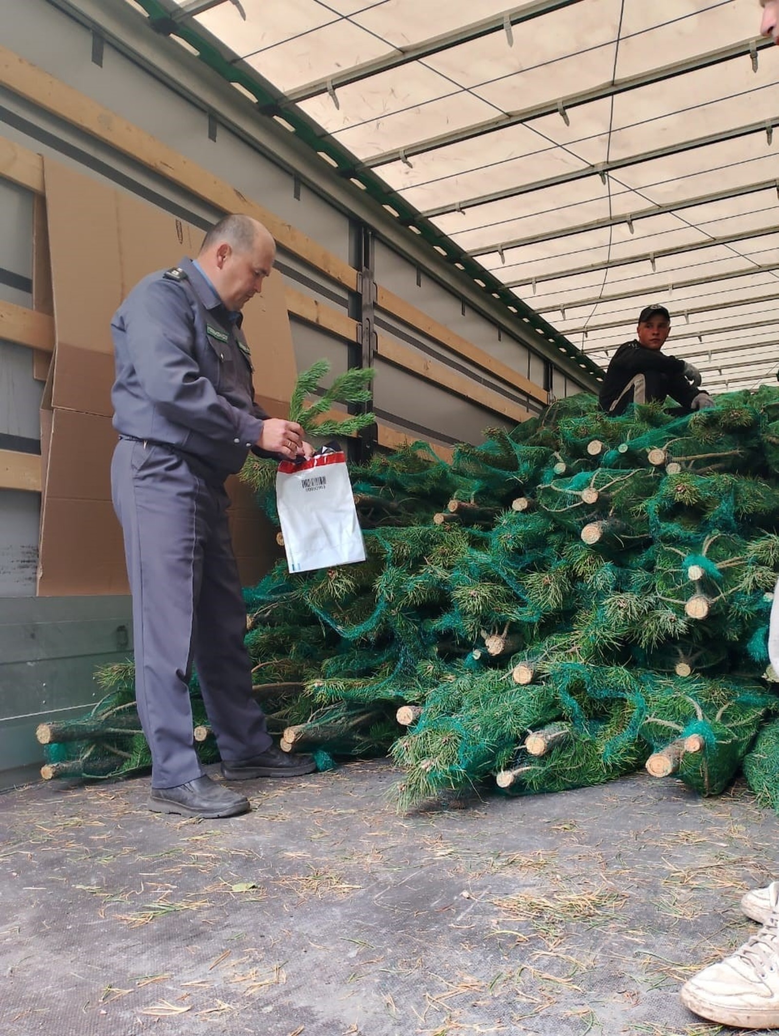 ИА Башинформ