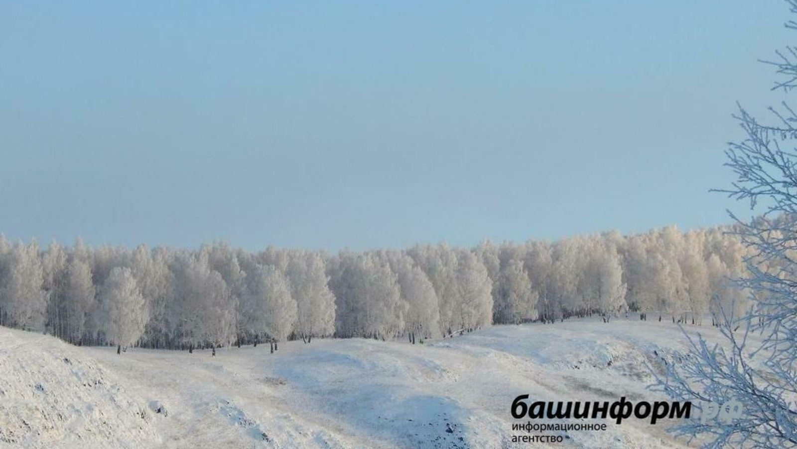 ИА Башинформ