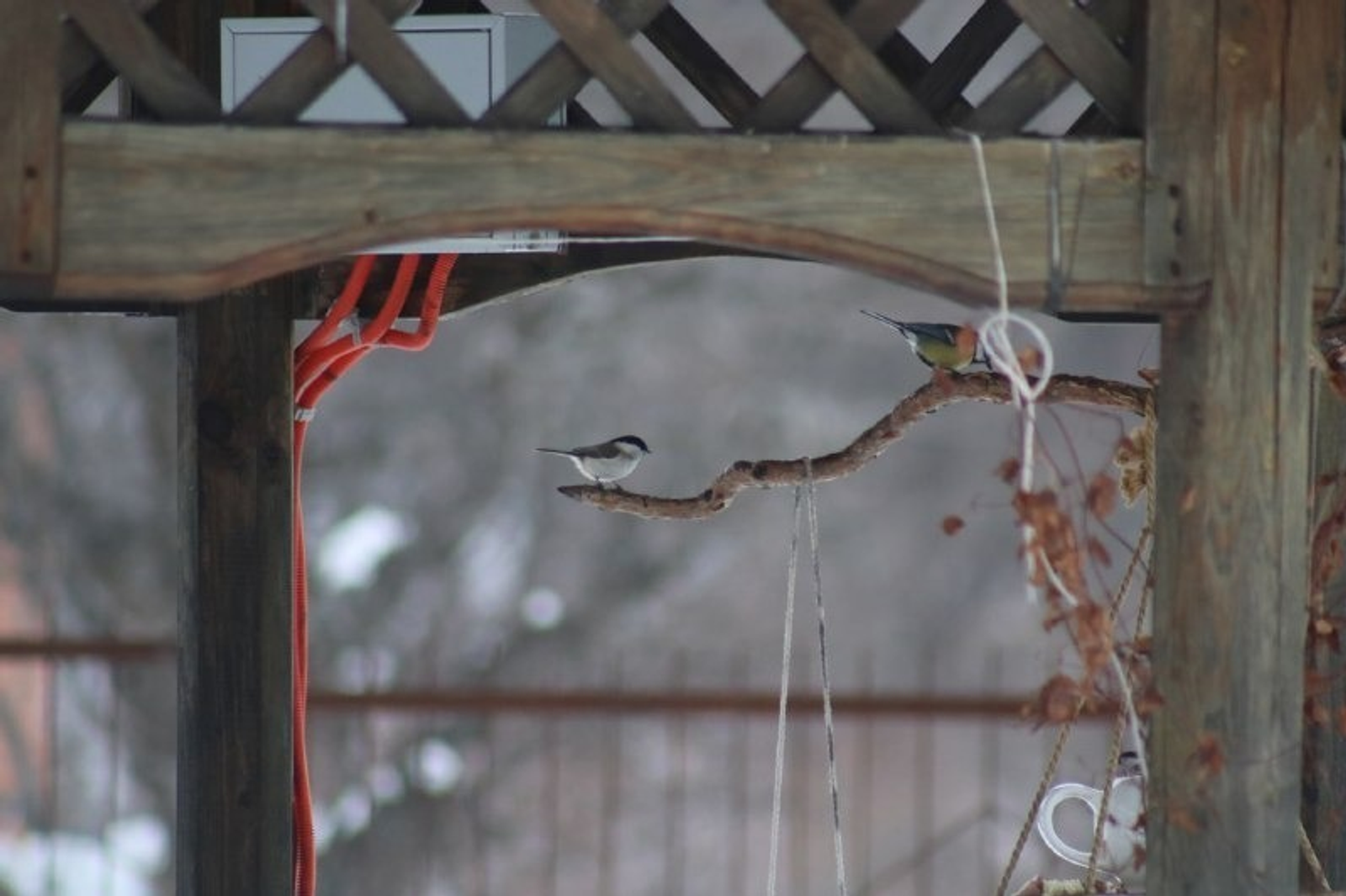 ИА Башинформ