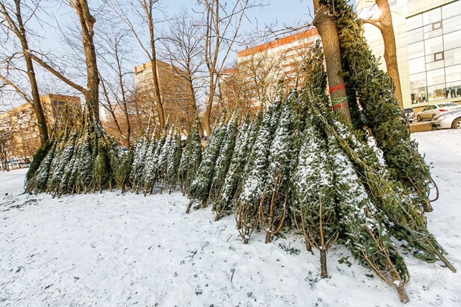 ИА Башинформ