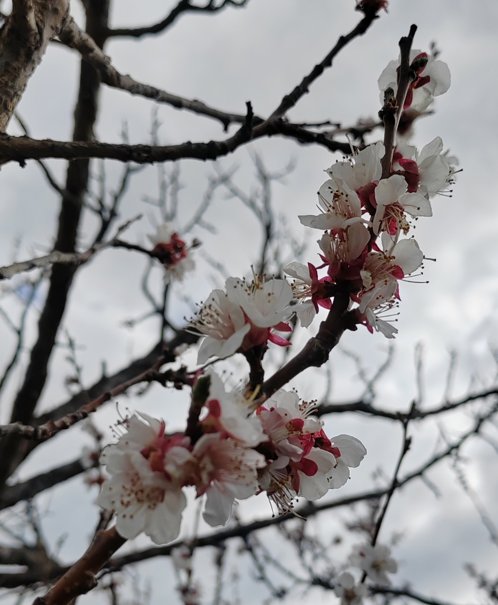 Когда в Башкирии установится теплая погода