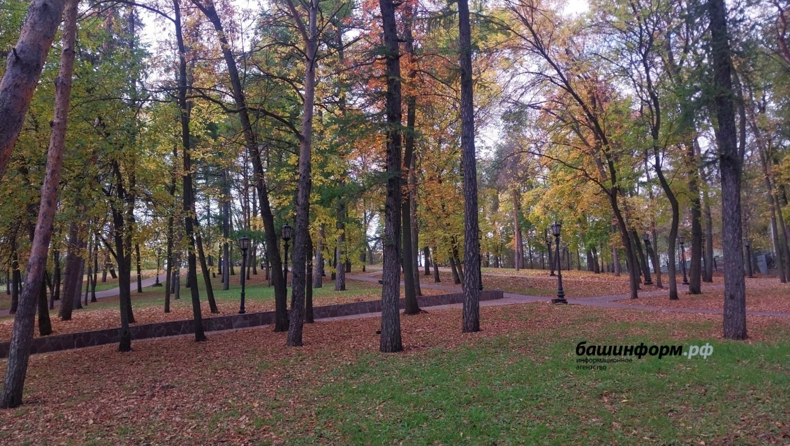 ИА Башинформ