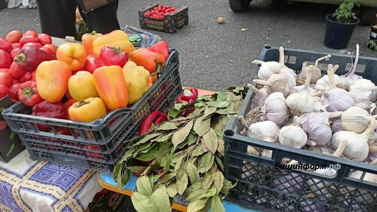 ИА Башинформ