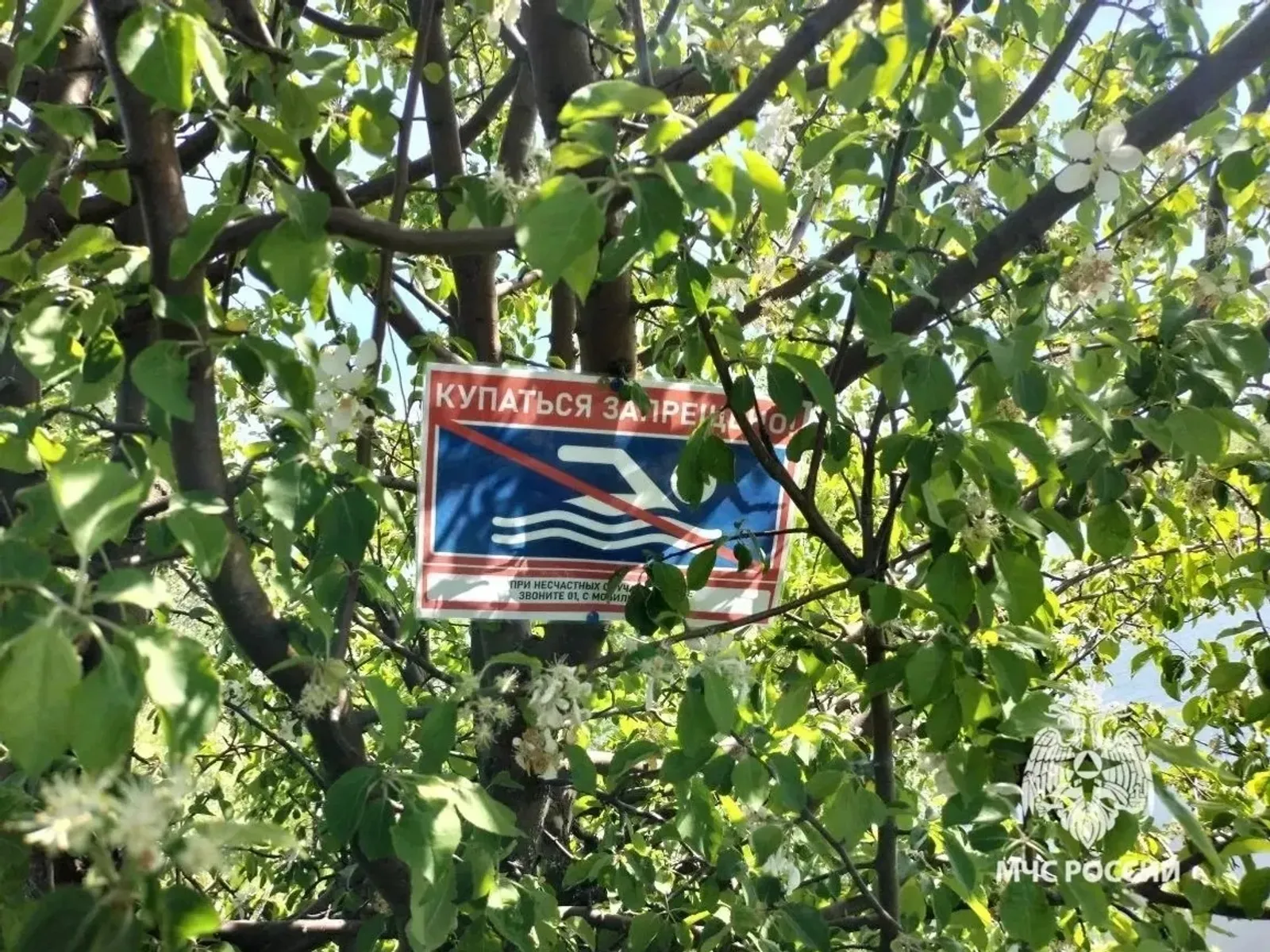 ИА Башинформ