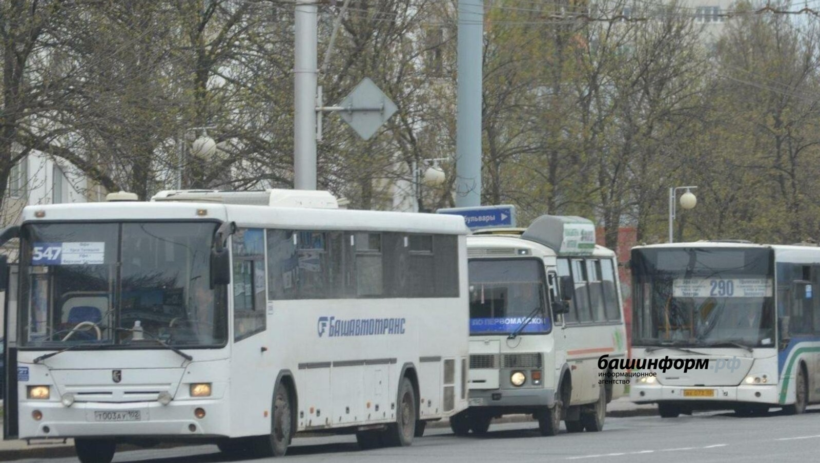 ИА Башинформ