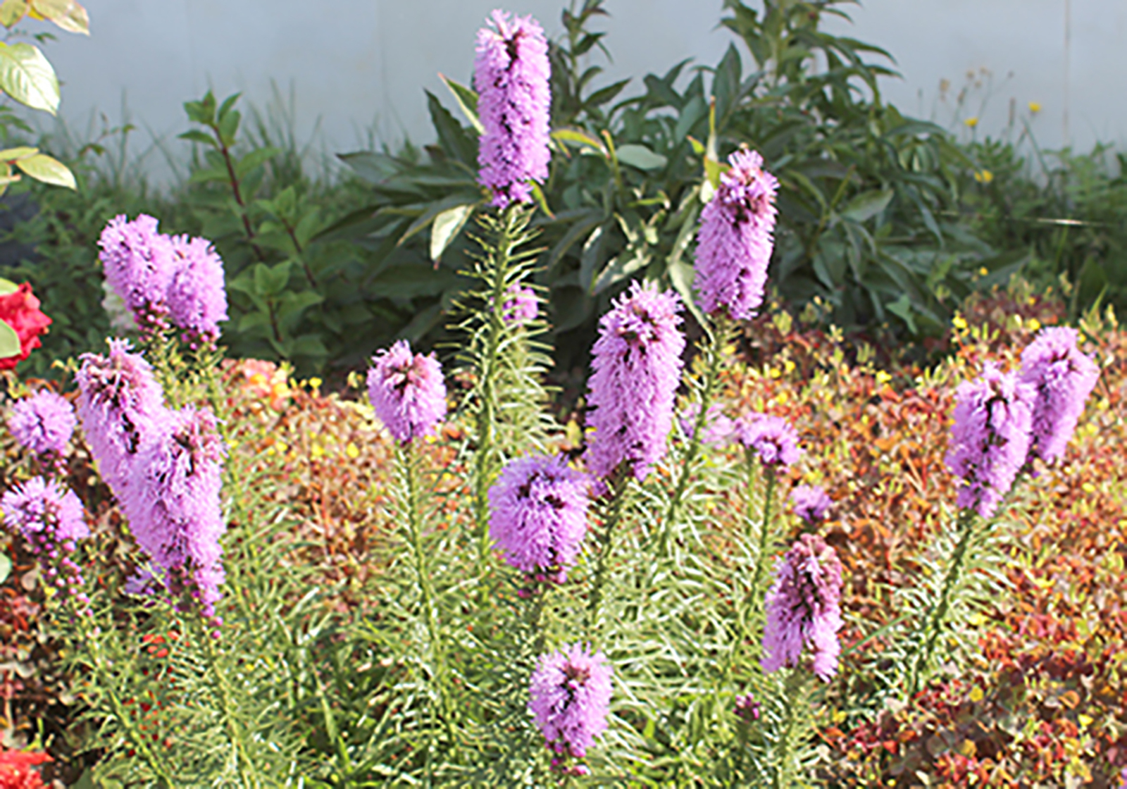 Прогноз погоды на июль в Башкирии