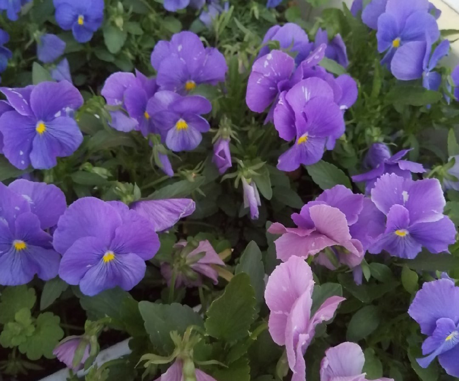 В Башкирии ожидается холодный август 25-го