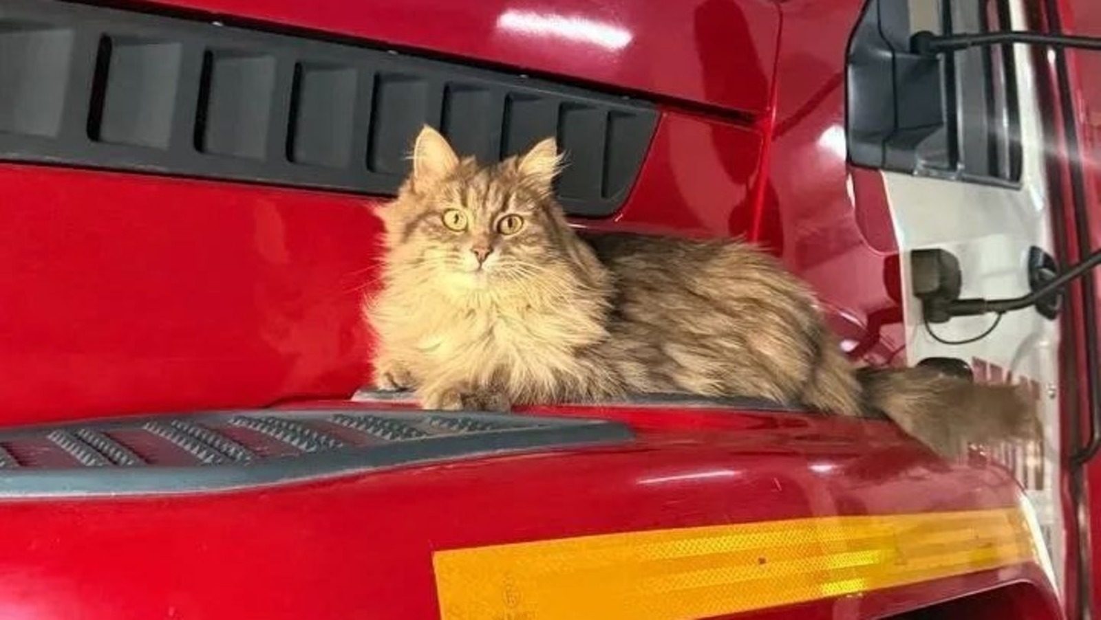 ИА Башинформ