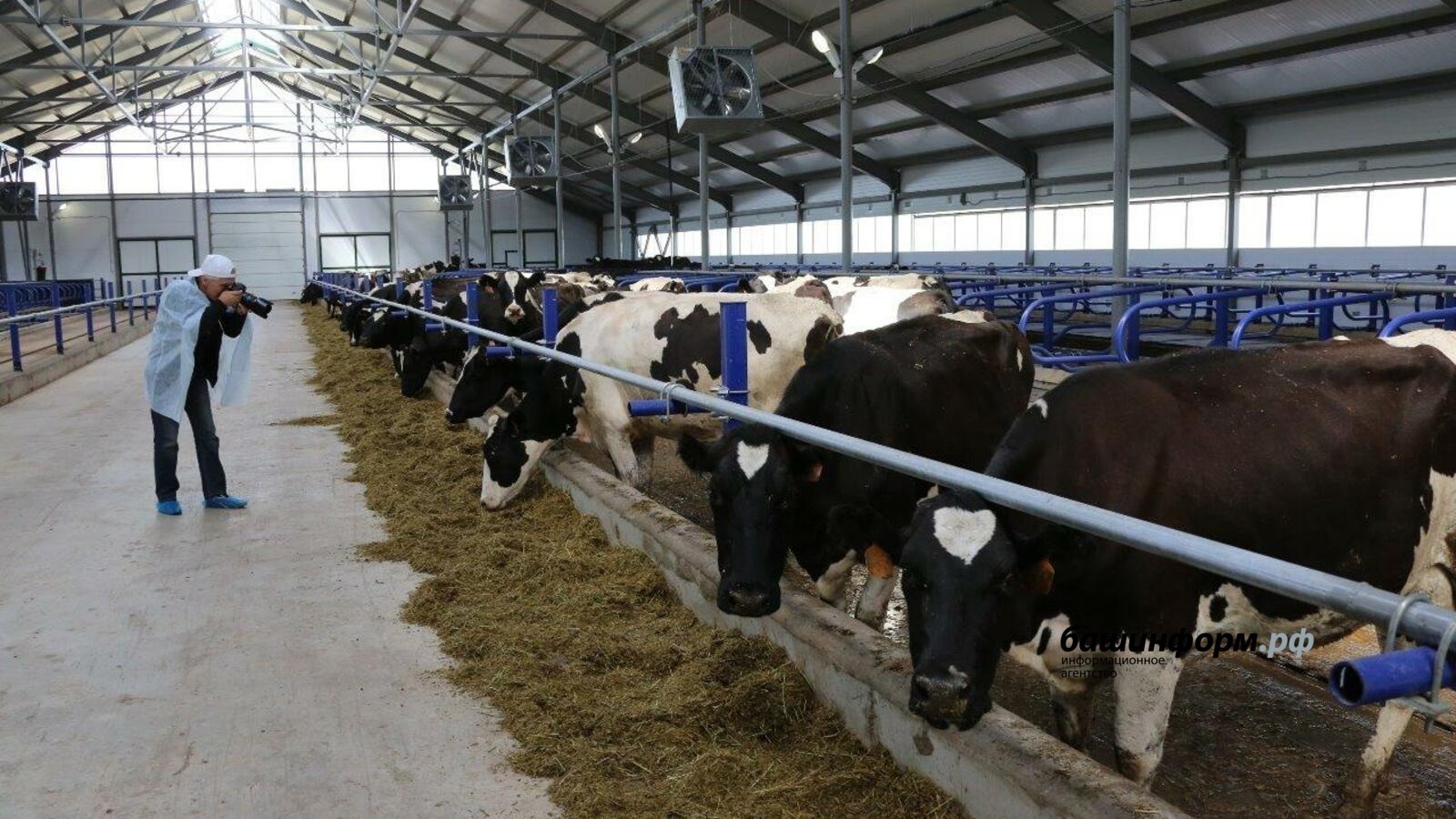 ИА Башинформ