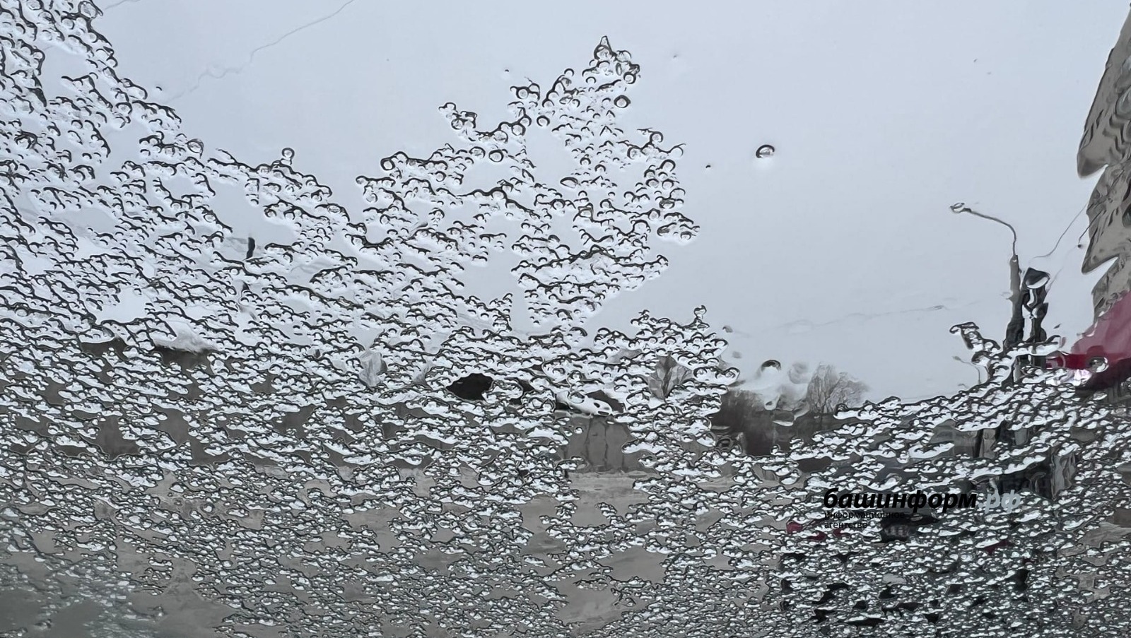 ИА Башинформ