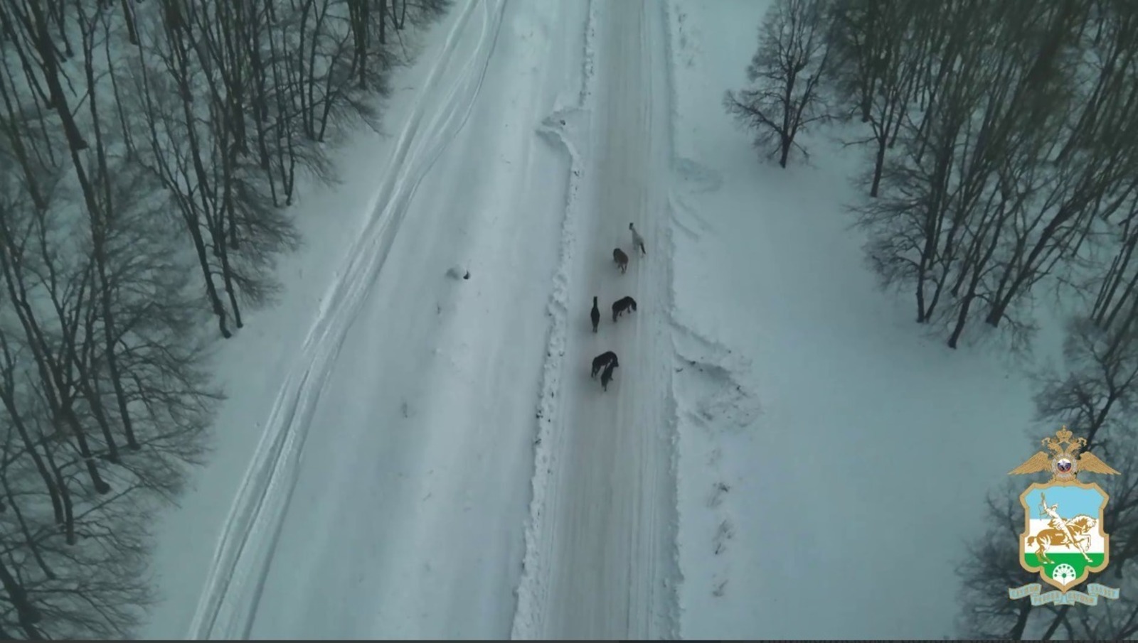 ИА Башинформ