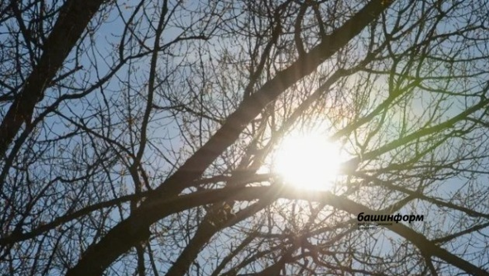 ИА Башинформ