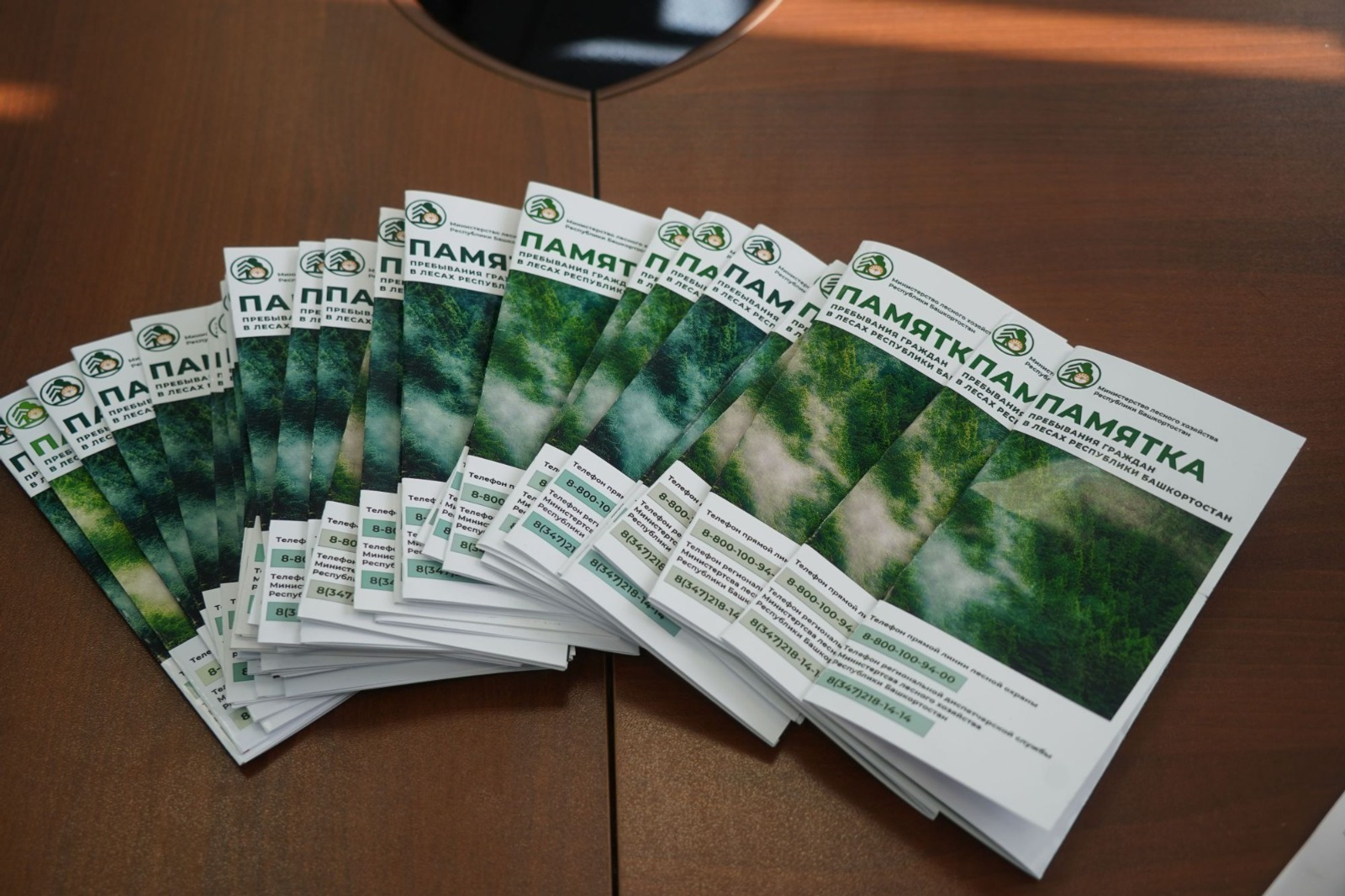 ИА Башинформ