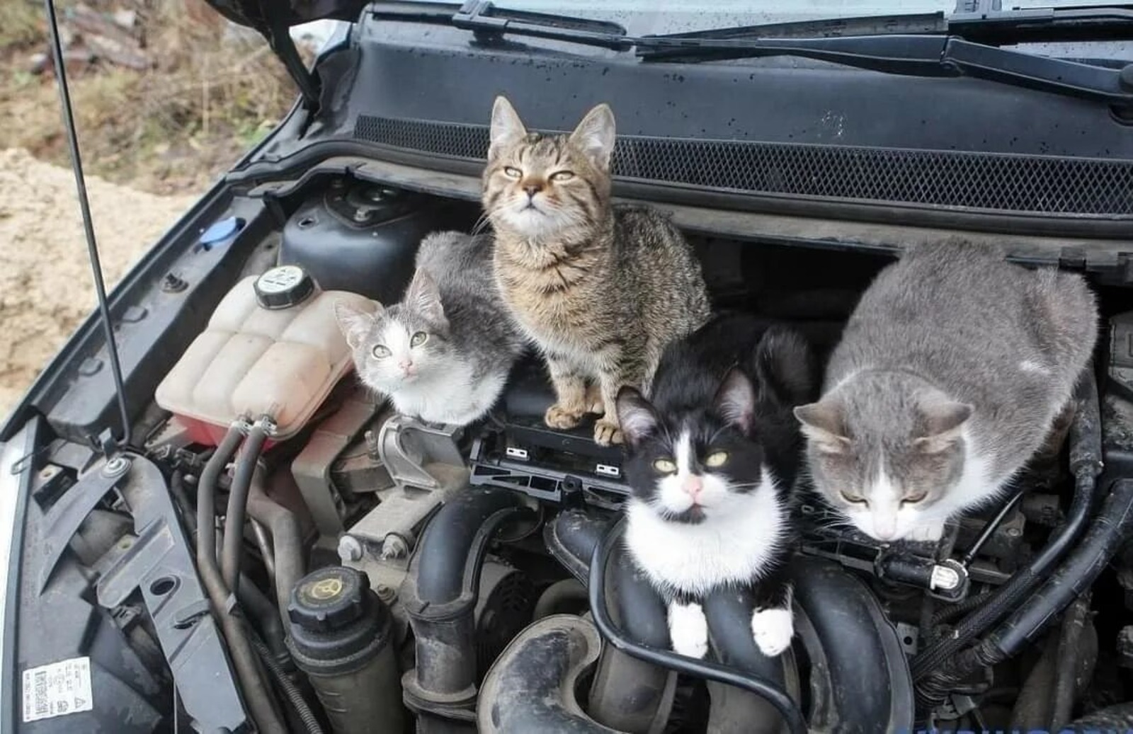 ИА Башинформ