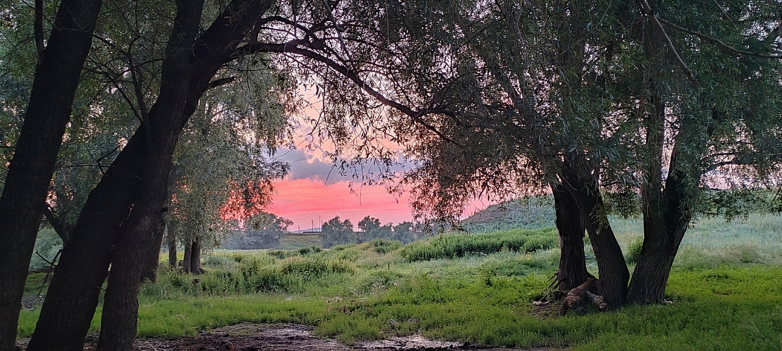 Какая погода ожидается в Зауралье?