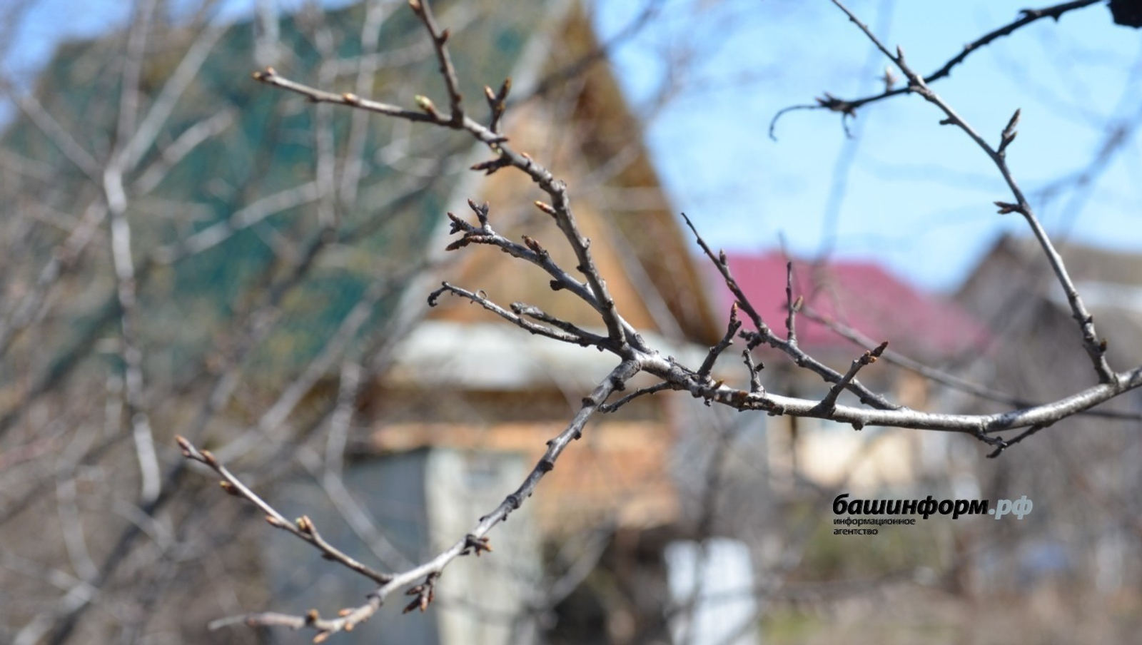 ИА Башинформ