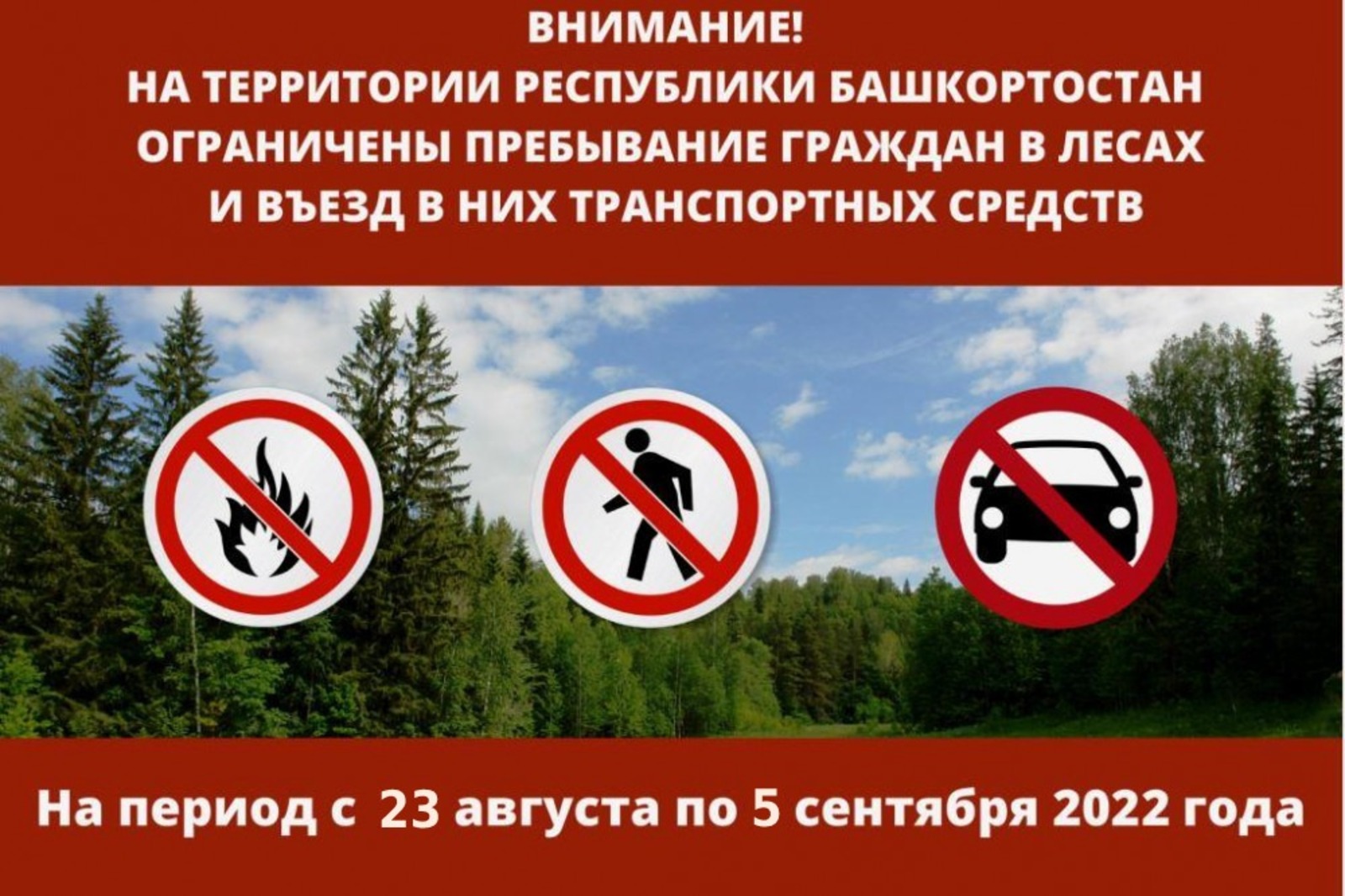 В Башкирии ввели ограничения  на посещение  лесов из-за  жаркой погоды