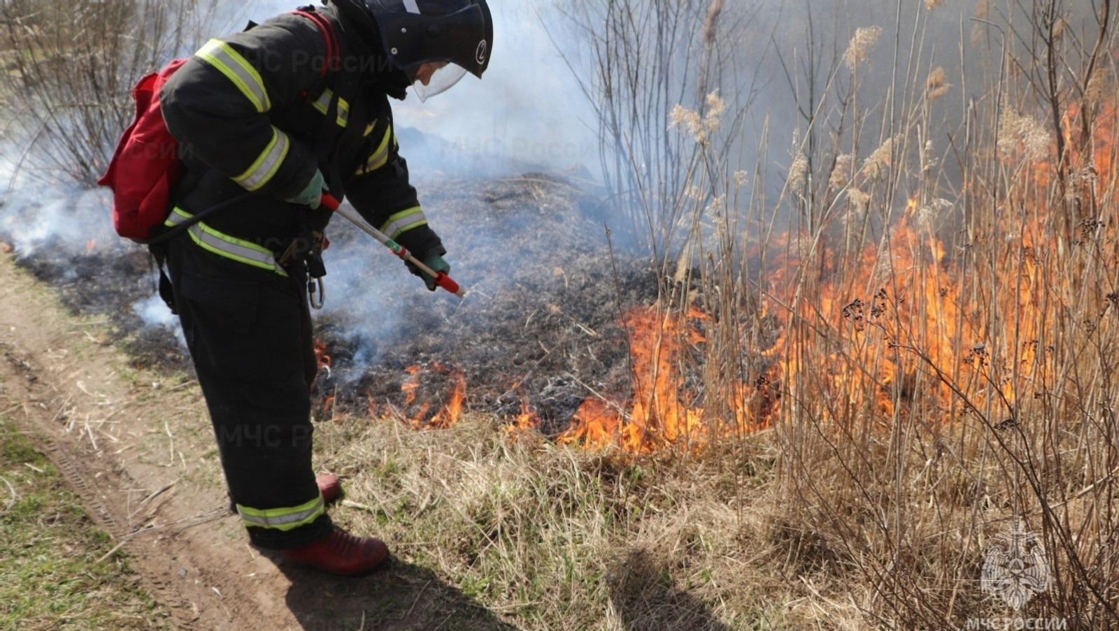 ИА Башинформ