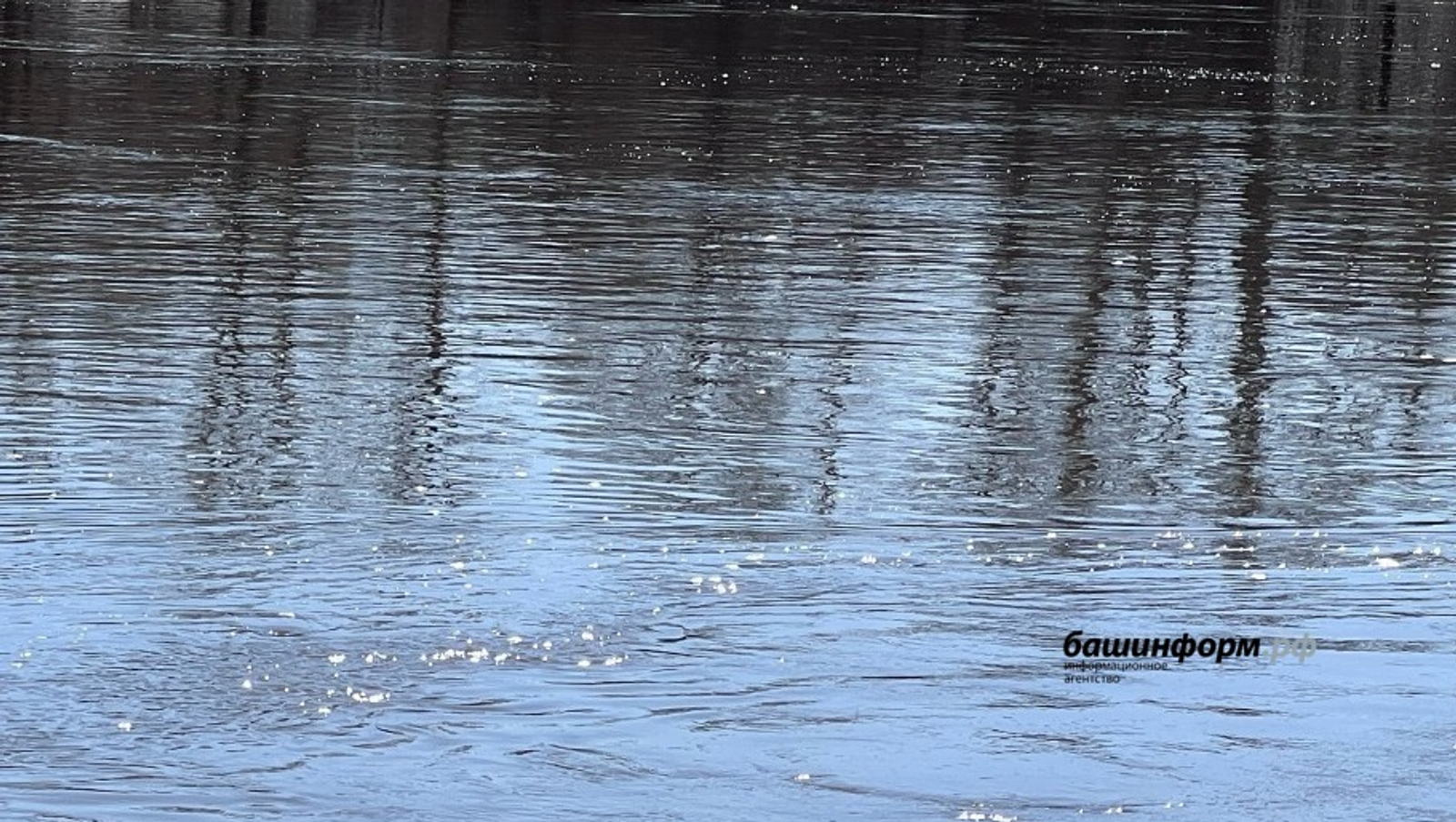 ИА Башинформ