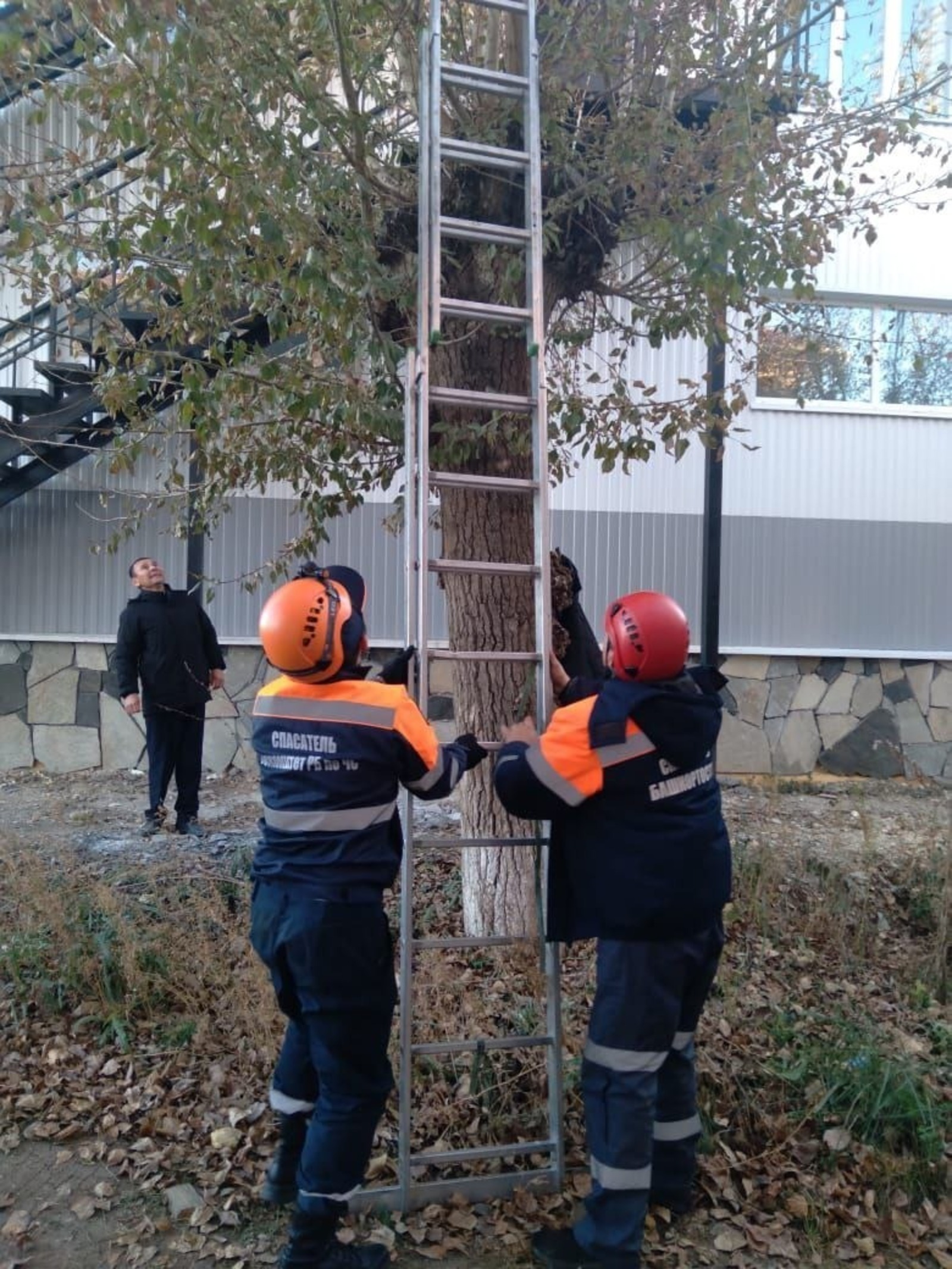 ИА Башинформ