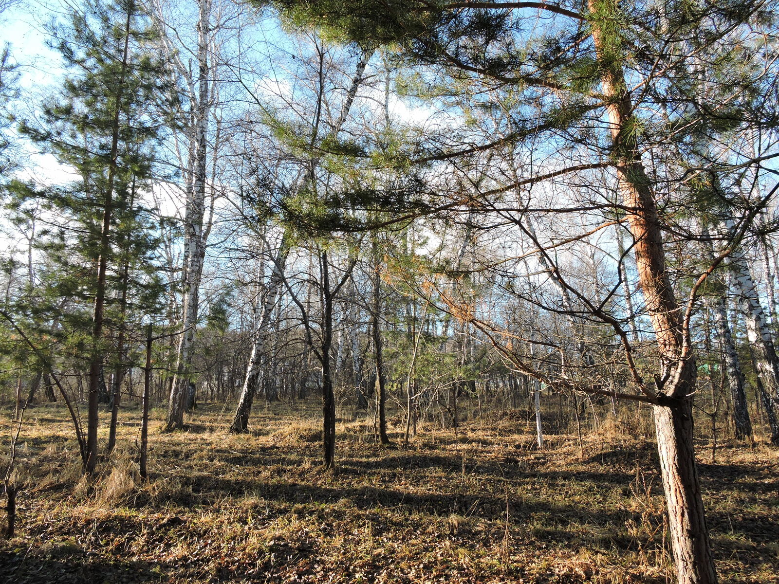 Не допустить лесных пожаров!